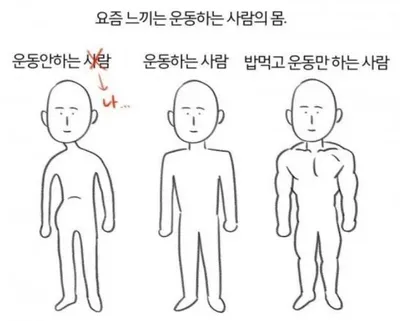 요즘 느끼는 운동하는 사람들의 몸