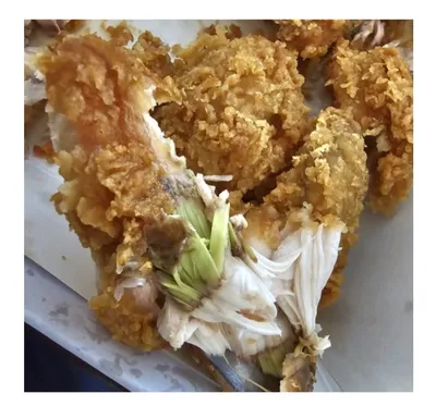 치킨갤러리 난리난 비비큐 초록색 치킨사건ㄷㄷㄷ