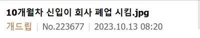 10개월차 신입이 회사 폐업시킨 썰