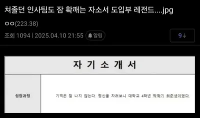 좋아요만 4만개 눌린 레전드 자기소개서 ㄷㄷ